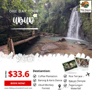Best of Ubud Tour: 1 Day Private Experience in Bali 2026